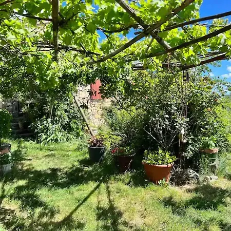 Casa vacanze Maison Charmante à Val-d'aigoual Avec Jardin Notre-Dame-de-la-Rouvière